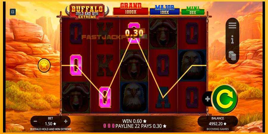 Hrací automat: Buffalo Hold and Win Extreme s reálnou šancou na výhru