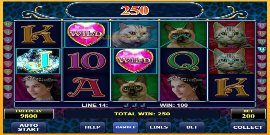 Hrací automat: Diamond Cats s reálnou šancou na výhru