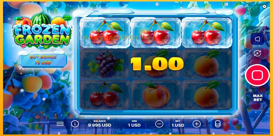 Hrací automat: Frozen Garden s reálnou šancou na výhru