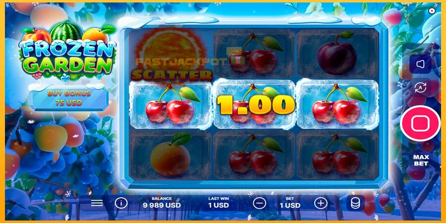 Hrací automat: Frozen Garden s reálnou šancou na výhru