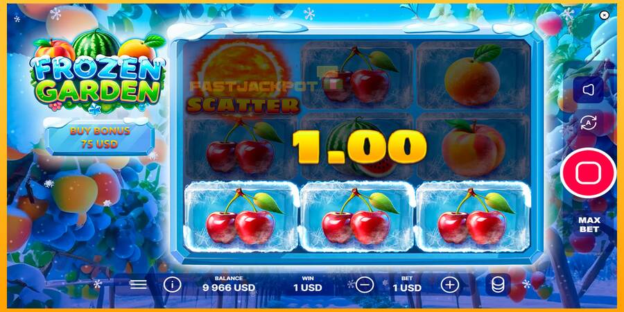 Hrací automat: Frozen Garden s reálnou šancou na výhru