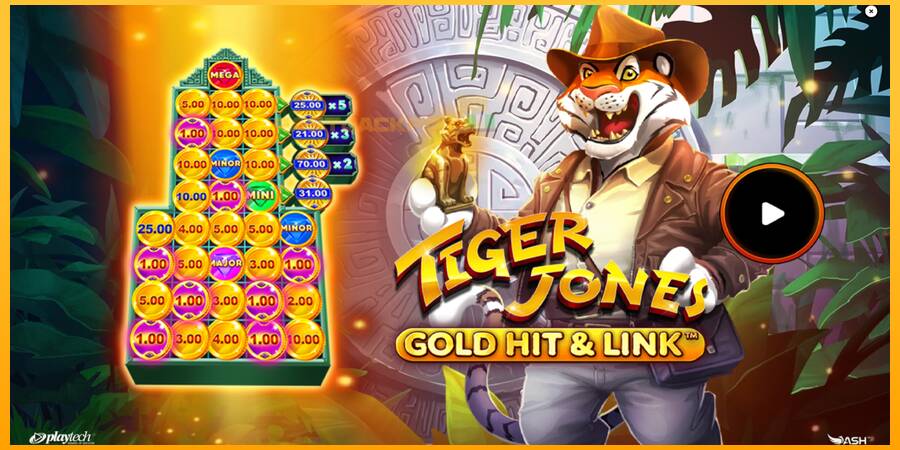 Hrací automat: Gold Hit & Link: Tiger Jones s reálnou šancou na výhru