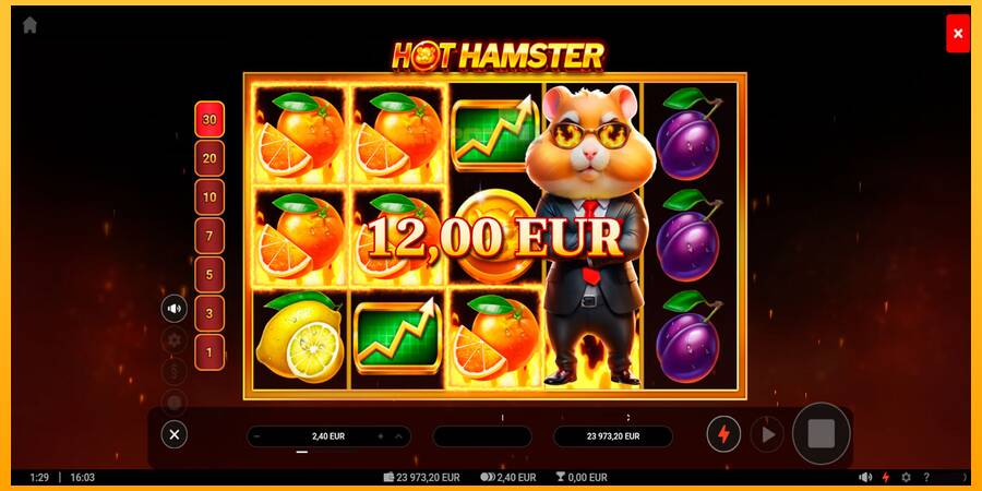 Hrací automat: Hot Hamster s reálnou šancou na výhru