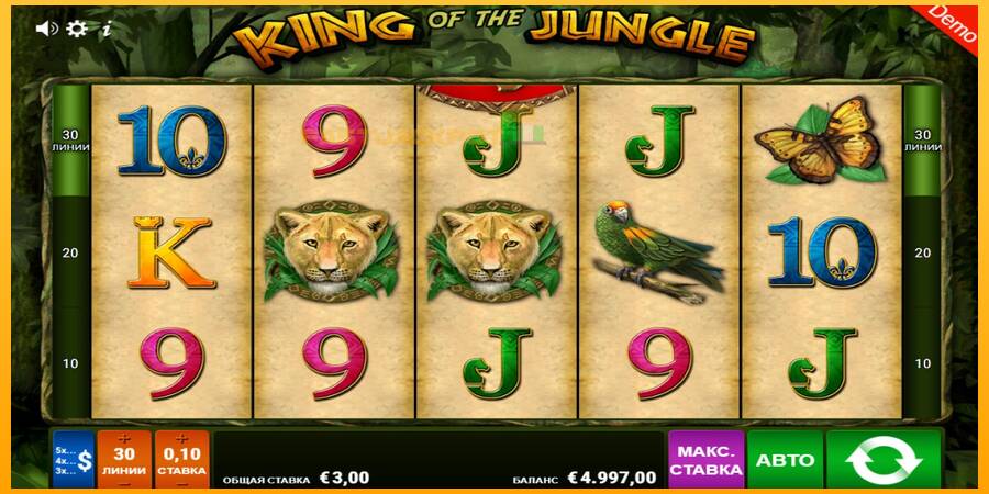 Hrací automat: King of the Jungle s reálnou šancou na výhru