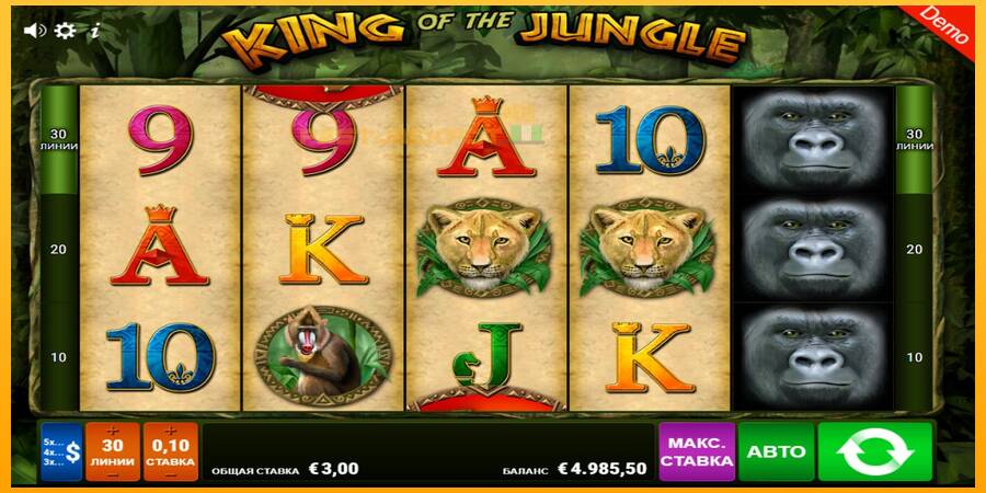 Hrací automat: King of the Jungle s reálnou šancou na výhru