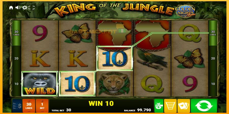 Hrací automat: King of the Jungle Golden Nights s reálnou šancou na výhru