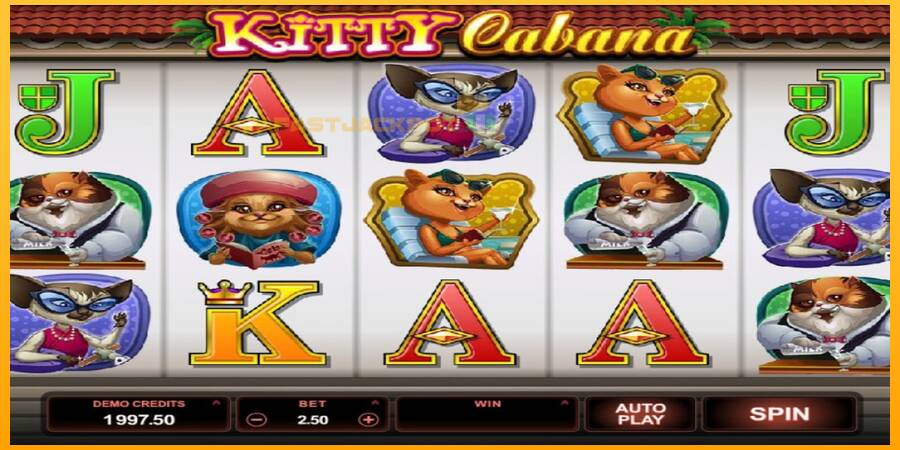 Hrací automat: Kitty Cabana s reálnou šancou na výhru