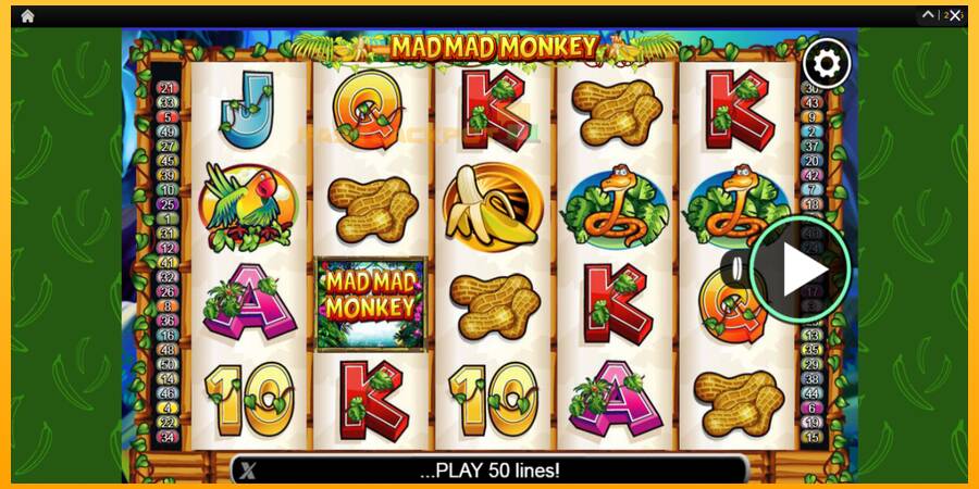 Hrací automat: Mad Mad Monkey s reálnou šancou na výhru