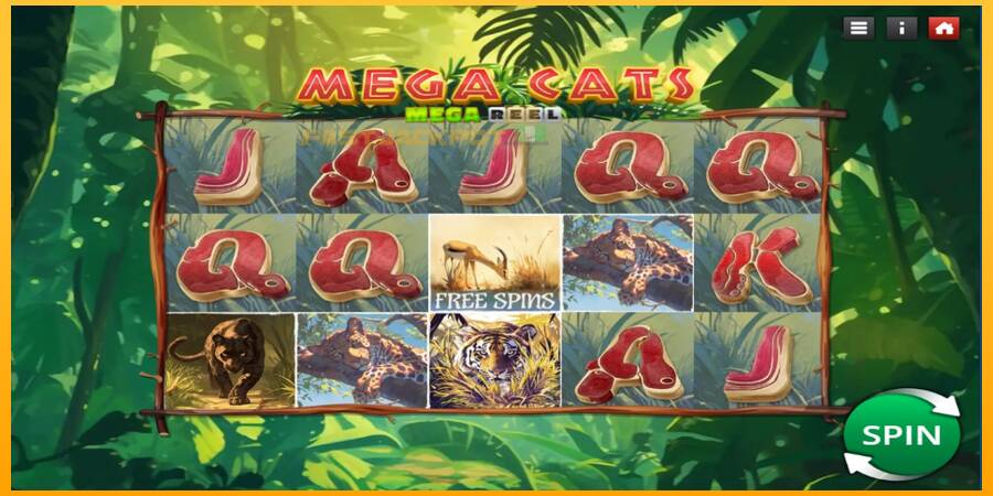 Hrací automat: Mega Cats Mega Reel s reálnou šancou na výhru