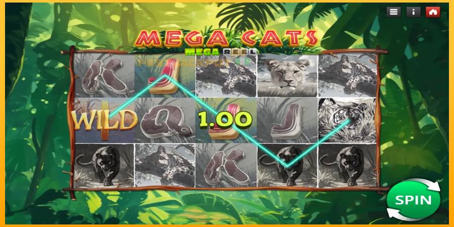 Hrací automat: Mega Cats Mega Reel s reálnou šancou na výhru