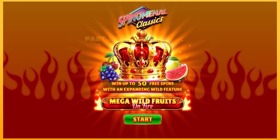 Hrací automat: Mega Wild Fruits - On Fire s reálnou šancou na výhru