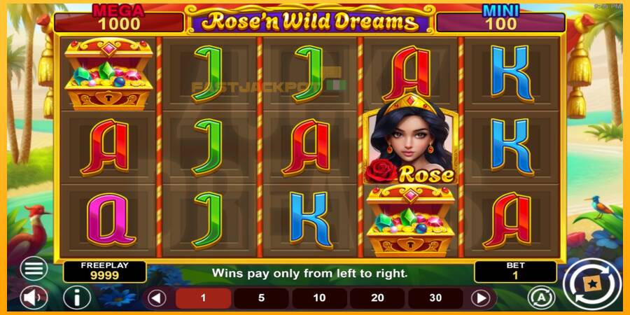 Hrací automat: Rose’n Wild Dreams Hold & Win s reálnou šancou na výhru