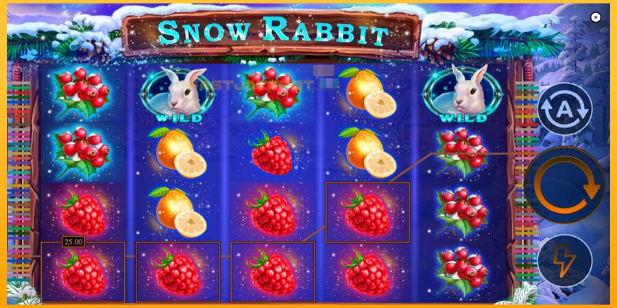 Hrací automat: Snow Rabbit s reálnou šancou na výhru