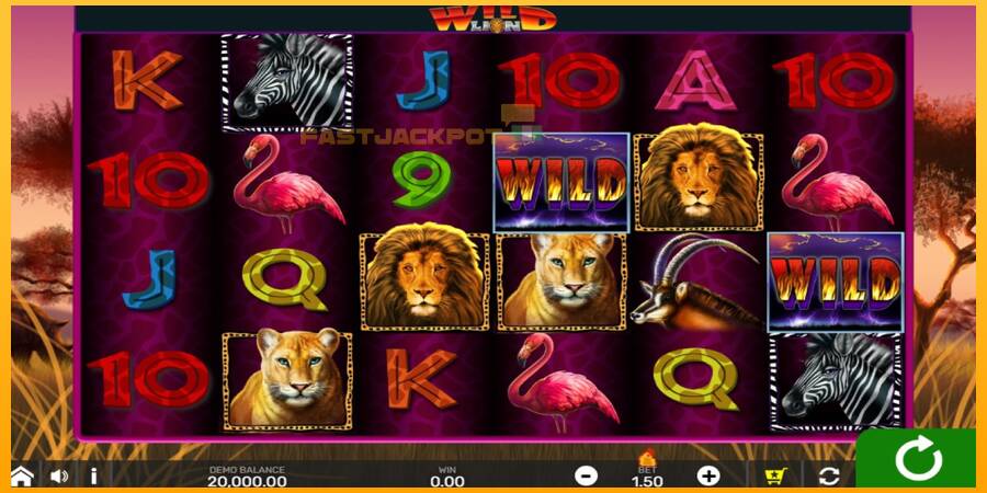 Hrací automat: Wild Lion with Reel Bingo s reálnou šancou na výhru