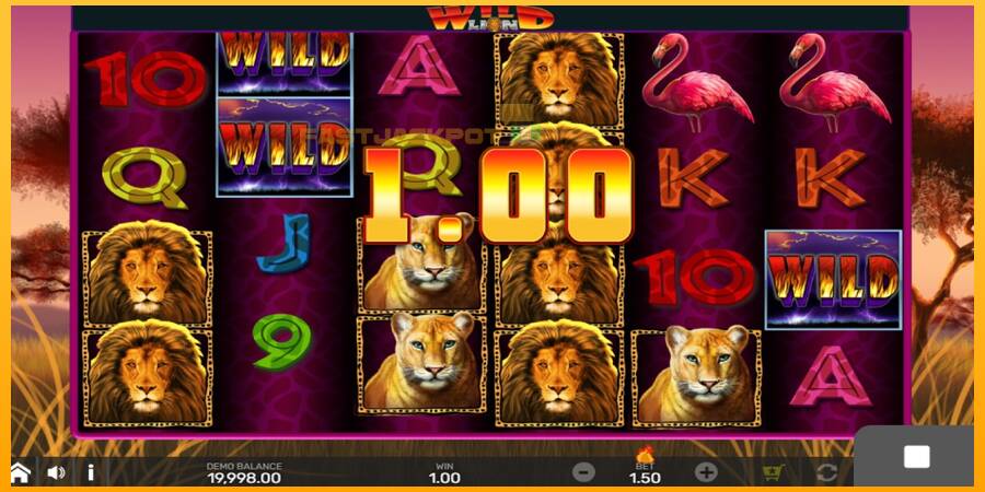 Hrací automat: Wild Lion with Reel Bingo s reálnou šancou na výhru