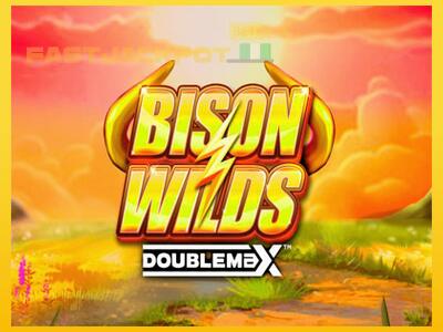 Hrací automat Bison Wilds DoubleMax so šancou vyhrať