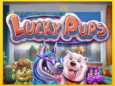 Hrací automat Lucky Pups so šancou vyhrať