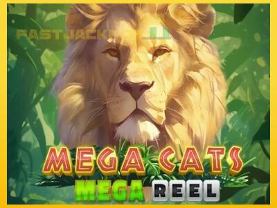 Hrací automat Mega Cats Mega Reel so šancou vyhrať