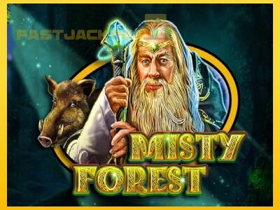 Hrací automat Misty Forest so šancou vyhrať