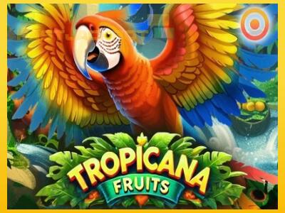 Hrací automat Tropicana Fruits so šancou vyhrať