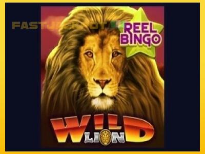 Hrací automat Wild Lion with Reel Bingo so šancou vyhrať